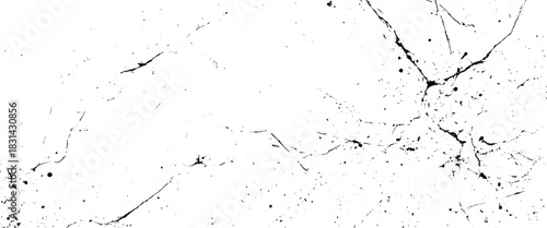 Vector black and white scratches scattered dust ink splatter texture  scratch