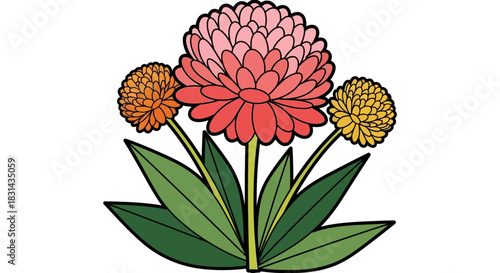 Beautiful zinnia flower illustration with leaves and petals