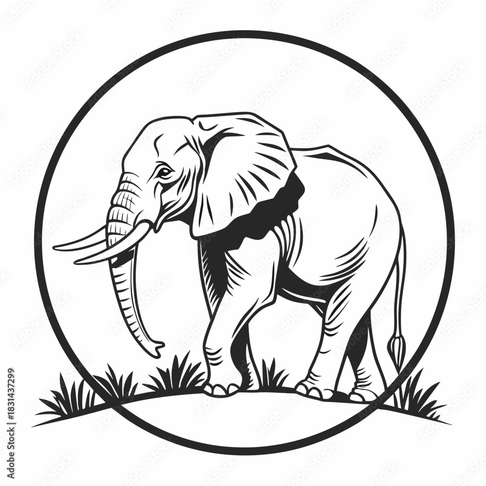 Obraz premium vector image of an elephant
