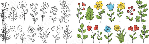Colorful botanical illustration displaying a variety of sketched floral designs