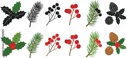 A collection of festive winter botanical illustrations featuring holly pine and berries