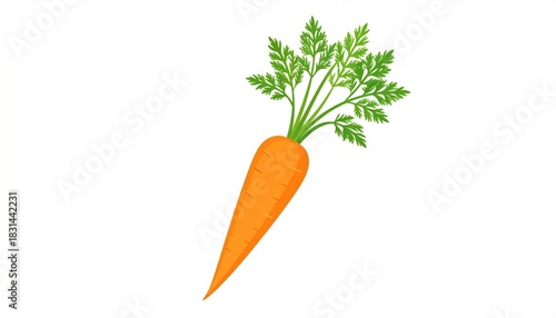 Fresh carrot with green leaves with white background.
