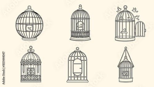 set of hand drawn birds