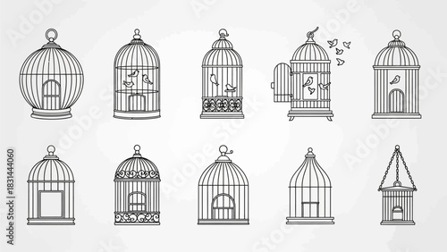 set of hand drawn birds