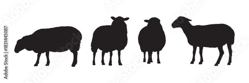Collection of four black sheep silhouettes, viewed from different angles, isolated on white background, representing farm animals and nature.