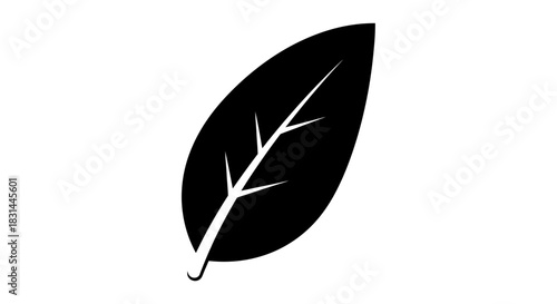 Elegant black leaf silhouette symbolizing nature's beauty and organic growth, perfect for environmental branding and design projects