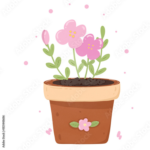 pink flowers in pot