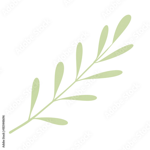 branch with green leaves isolated