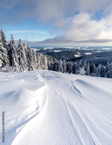 Snowy landscape with frosted trees under a partly cloudy sky