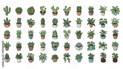Collection of Various Potted Plants and Cacti Vector Illustrations for Design Elements and Decor