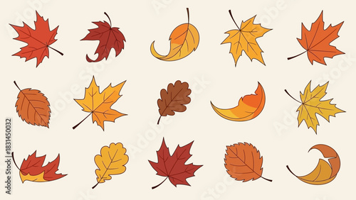 Various Colorful Autumn Leaves Set of Hand-Drawn Foliage Elements for Fall Designs