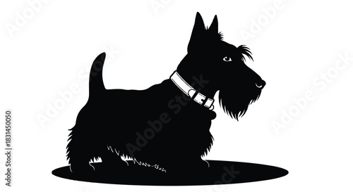 Silhouette of a Scottish Terrier dog sitting attentively.