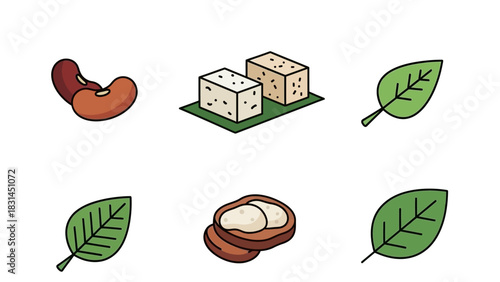 A vibrant collection of illustrated plant-based food ingredients and natural elements, perfect for healthy eating designs, vegan recipes, and nutritional wellness concepts