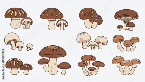 A diverse collection of edible mushroom varieties, featuring various shapes and sizes, illustrated in a charming flat design for culinary projects and health-focused content