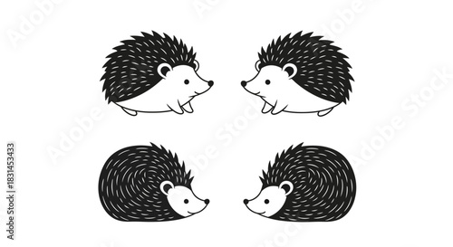 Four cute hedgehogs facing each other