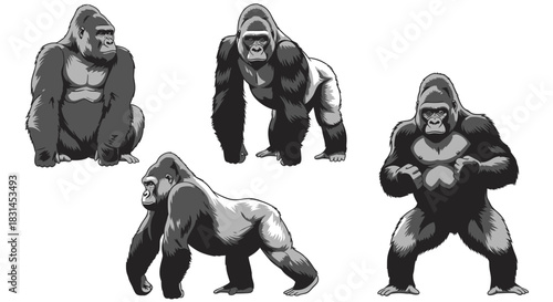 Gorilla poses collection with transparent background