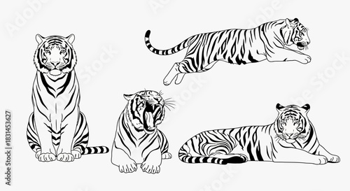 Tiger poses outline style for various uses