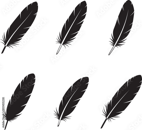 Six black feather silhouettes floating on a white background for design elements
