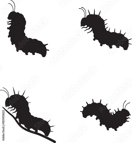 Silhouette of four spiky caterpillars crawling on a white background