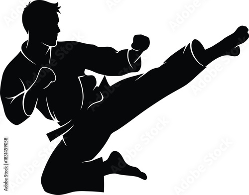 Dynamic Martial Arts Fighter Silhouette Executing a Powerful High Side Kick Vector Illustration