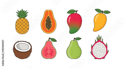 Colorful illustration of various tropical fruits on white background