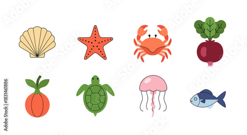 Colorful marine life icons seashell starfish crab radish turtle jellyfish fish
