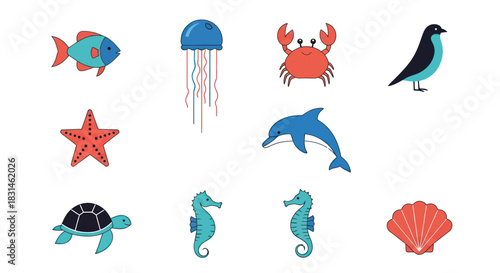 Colorful marine life illustrations featuring various ocean creatures on white