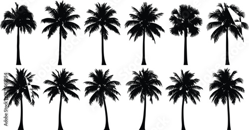 Tropical palm trees silhouette set, iconic black graphic vector collection, various palms including coconut, perfect for travel, vacation, beach, and summer design elements.