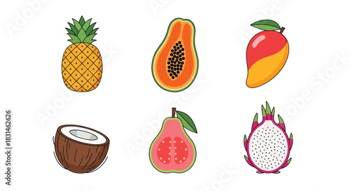 Colorful tropical fruits pineapple papaya mango coconut guava dragon fruit