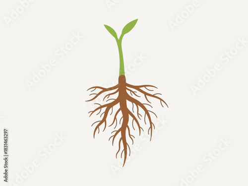 Botanical Illustration Detailed depiction of a plant's roots and seedling emerging from the earth, symbolizing growth