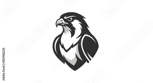 Bold eagle illustration against white background for design and branding