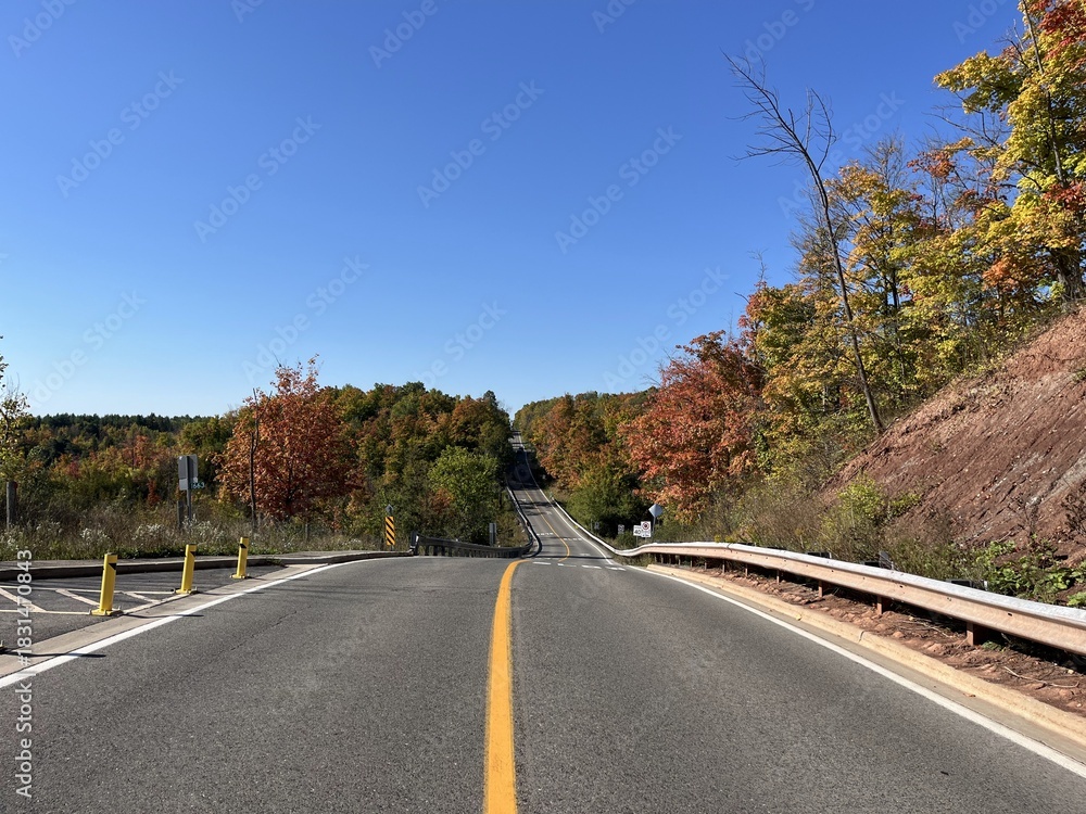 Fototapeta premium road in autumn forest