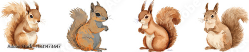 Watercolor Set Woodland Animal Illustration of a Cute Squirrel Sitting with a Fluffy Tail in Warm Brown and Beige Tones Isolated on White