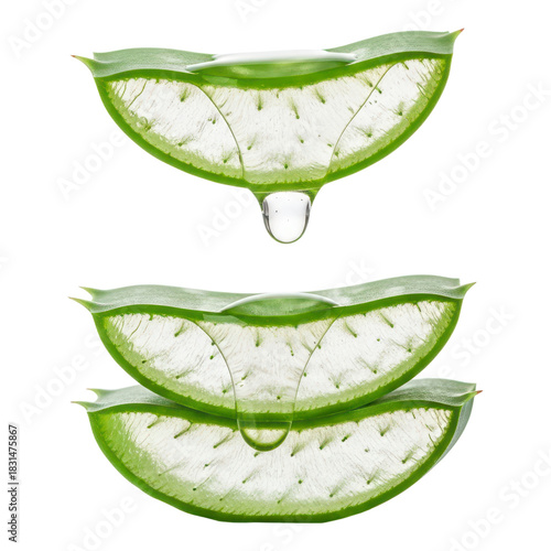 Slices of fresh aloe vera plant with gel dripping, isolated on transparent background