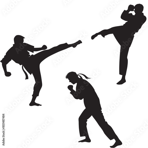 Three martial artists in silhouette performing kicks and stances