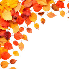 Vibrant autumn leaves corner border design for seasonal decor