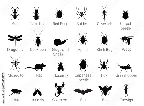Collection of Pest Insect Silhouettes for Pest Control Services
