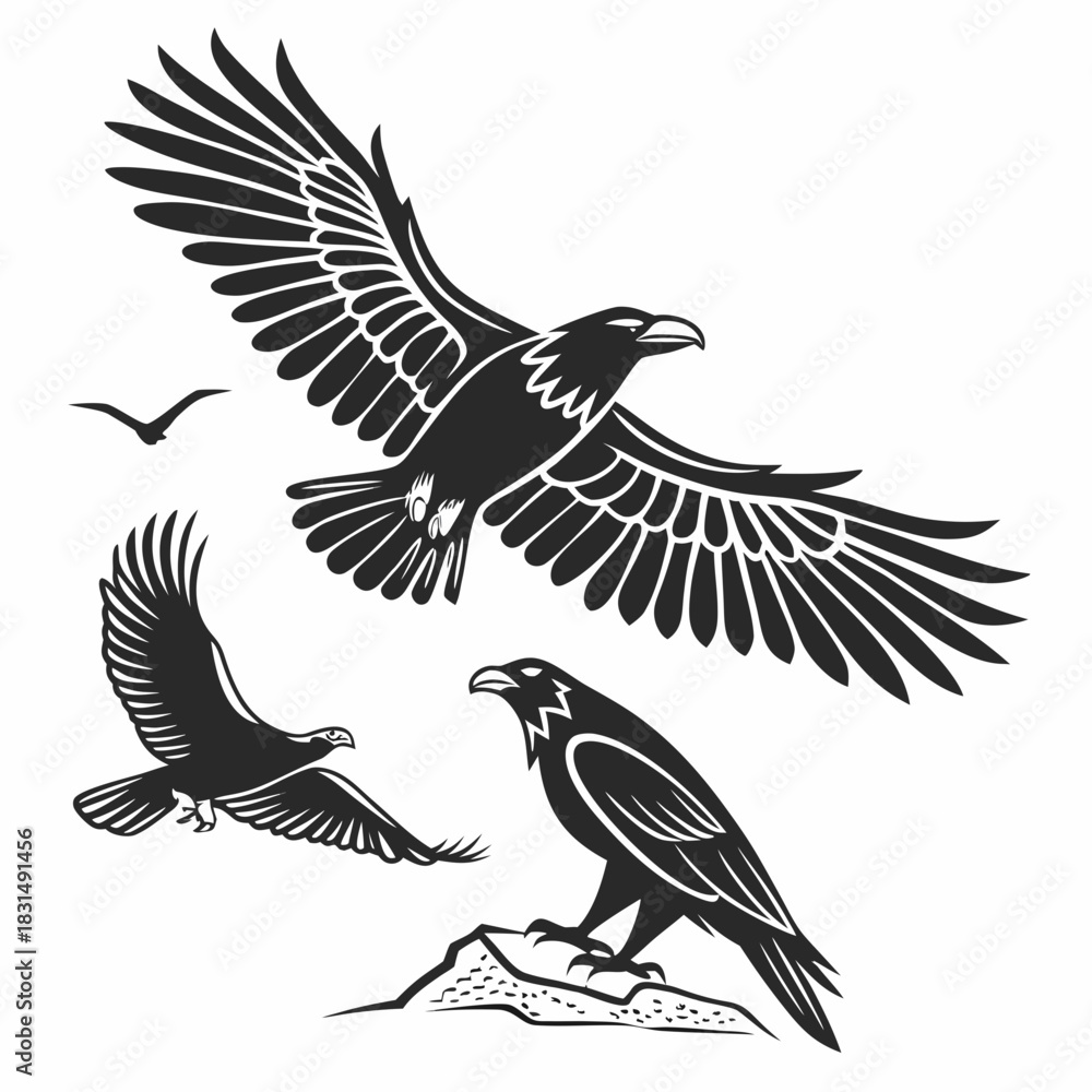 Obraz premium Black silhouette eagles and bird in flight flying