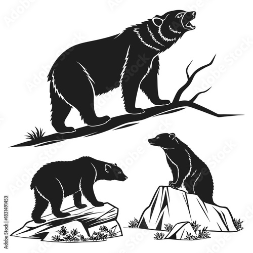 Black silhouette bears on rocks and branch animal white