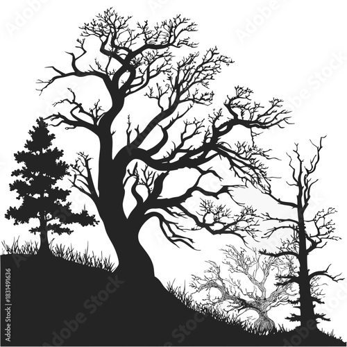 Black silhouette of gnarled trees and pine on white background