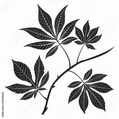 Black silhouette of horse chestnut leaves on white background
