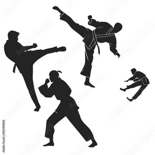 Black silhouettes of martial artists in action poses