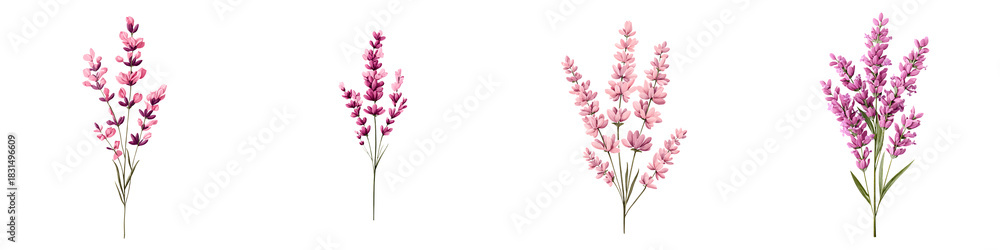 Naklejka premium Watercolor Lavender Bouquets: Aromatic Floral Illustration