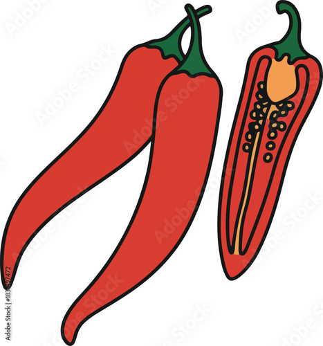 Illustration of two whole red chili peppers and one sliced in half isolated on, showcasing the seeds and inner flesh