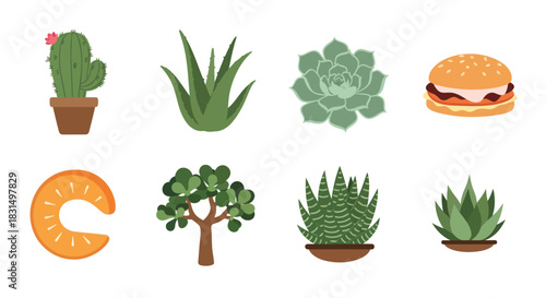 Collection of colorful vector illustrations of plants and food items
