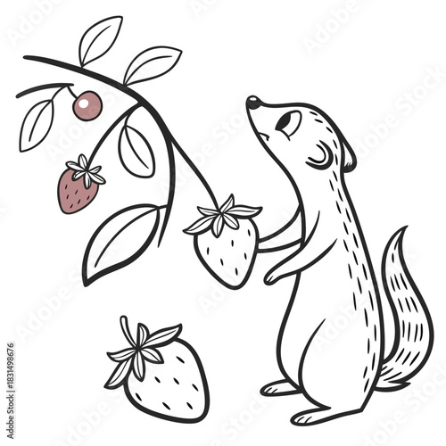 Cute ferret reaching for strawberry on branch animal