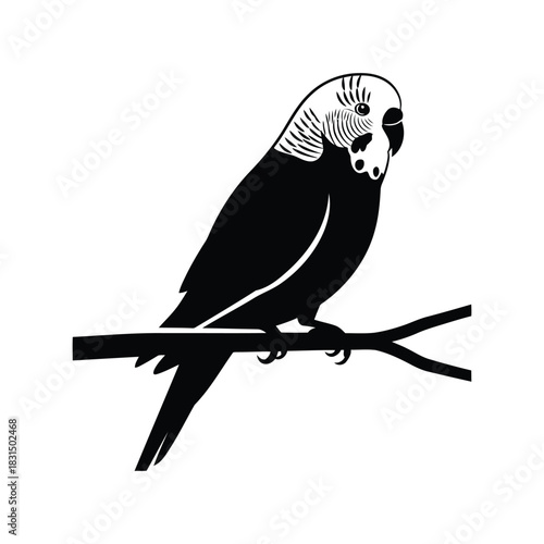 Minimalist budgerigar bird silhouette vector art