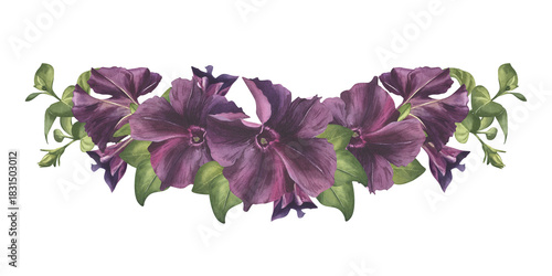 Purple flowers, buds and greenery watercolor illustration. Black petunia flower frame for spring card. Garden plant flower clip art for wedding invitation. Botanical illustration for floral design