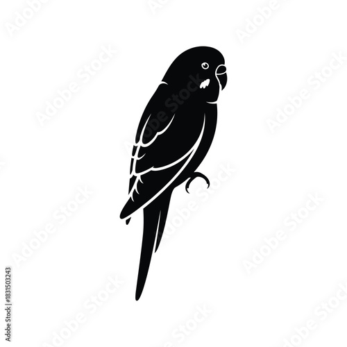 Black budgerigar silhouette vector icon design