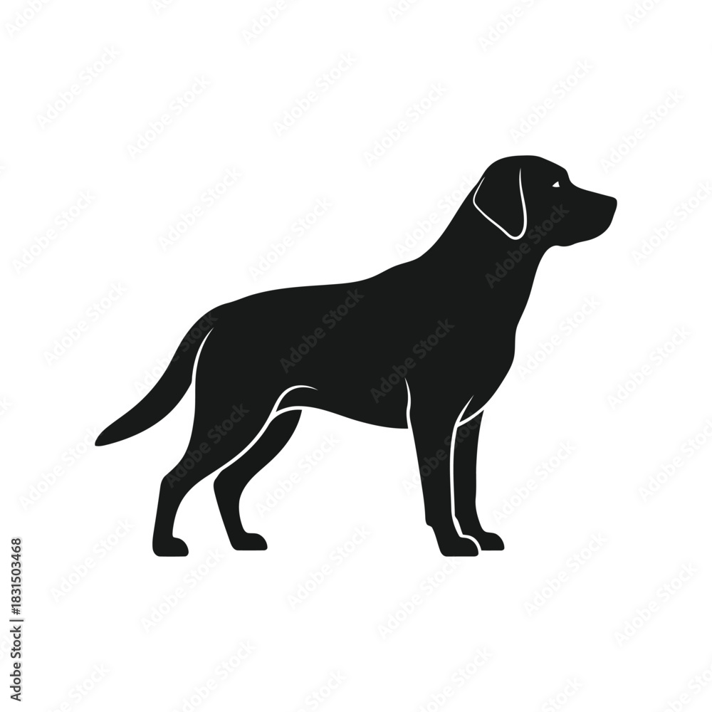 Fototapeta premium Black labrador retriever dog silhouette vector icon